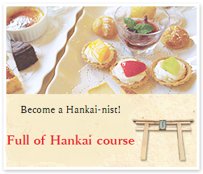  If you are an Hankai expert!! Voyage Hankai!!! Enjoy tourist course